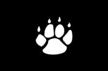 Desenvolvedor de jogos Qtech Games
