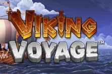 Viking Voyage