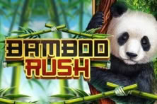Bamboo Rush