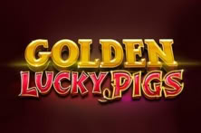 Golden Lucky Pigs