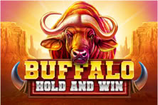 Buffalo: Hold and Win