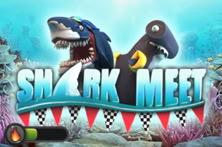 Shark Meet