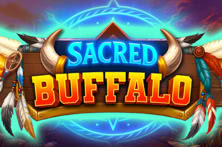 Sacred Buffalo