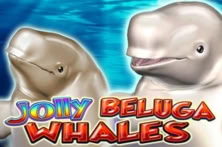 Jolly Beluga Whales