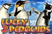 Lucky 3 Penguins