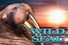 Wild Seal