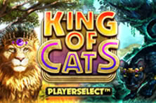 King of Cats