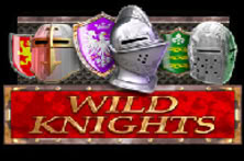 Wild Knights