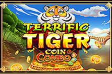 Terrific Tiger Coin Combo