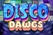 Disco Dawgs 96