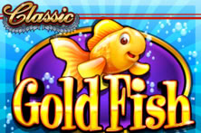 Gold Fish (Dual)