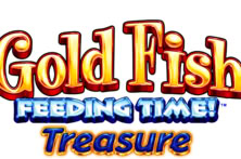 Gold Fish Feeding Time