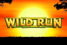 Wild Run