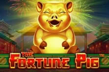 Fortune Pig