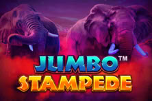 Jumbo Stampede