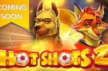 Hot Shots 2