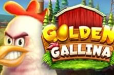 Golden Gallina