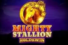 Mighty Stallion: Hold & Win