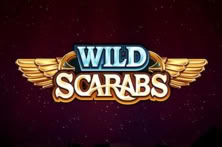 Wild Scarabs
