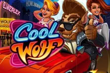 Cool Wolf