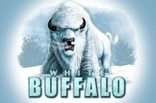 White Buffalo