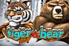 Tiger vs Bear