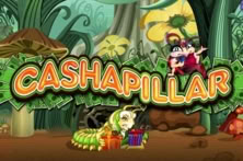 Cashapillar