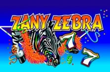 Zany Zebra