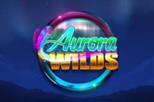 Aurora Wilds