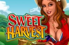 Sweet Harvest