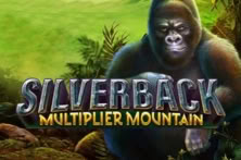 Silverback Multiplier Mountain