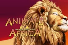 Animals of Africa