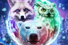 Arctic Enchantress