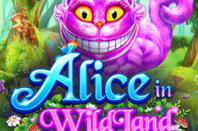 Alice in WildLand