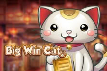 Big Win Cat
