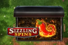 Sizzling Spins