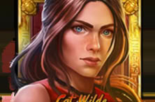 Cat Wilde and The Lost Chapter
