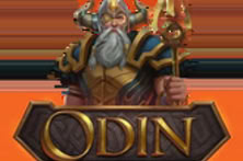 Odin: Protector of the Realms