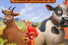 Animal Madness
