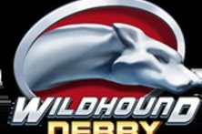 Wildhound Derby