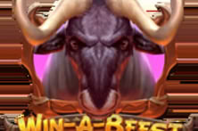 Win-A-Beest