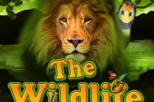 The Wildlife