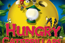 Hungry Caterpillars