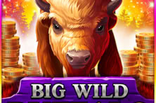 Big Wild Buffalo
