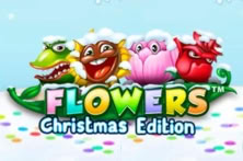 Flowers Christmas