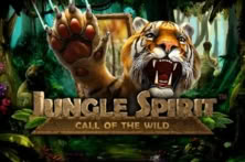 Jungle Spirit