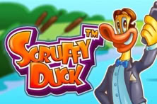 Scruffy Duck