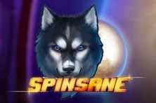 Spinsane