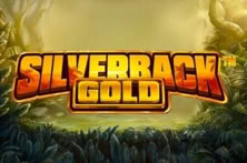 Silverback Gold™