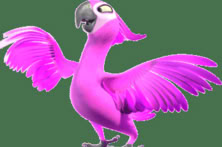 Crazy Birds™